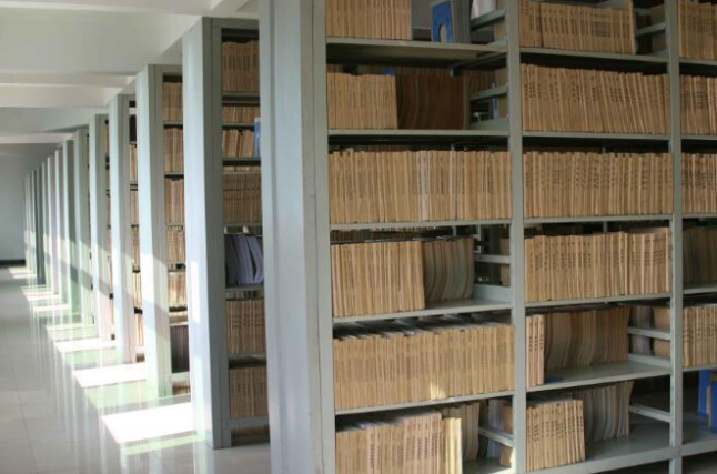 91视频网站在线观看,数字档案馆,档案数字化