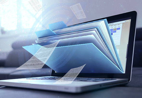 91视频在线入口